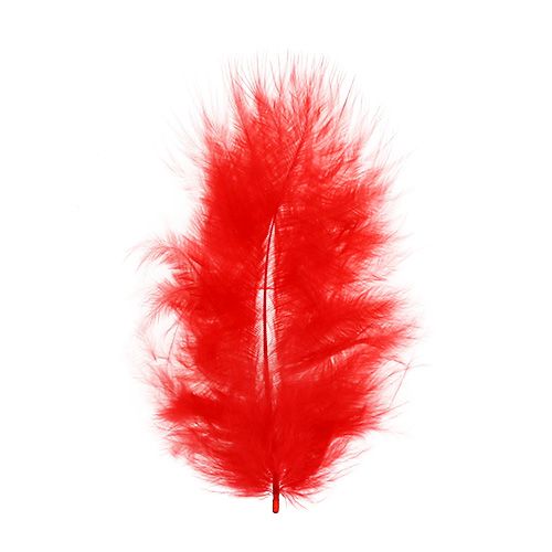 Product Short feathers 30g red
