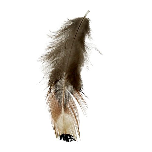 Product Natural feathers 20g