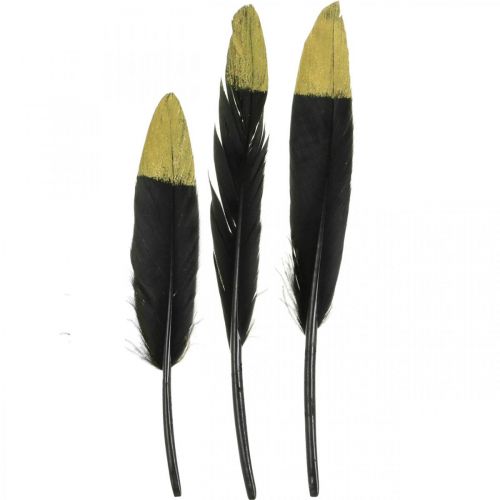 Floristik24 Decorative feathers black, gold real feathers for crafts 12-14cm 72pcs