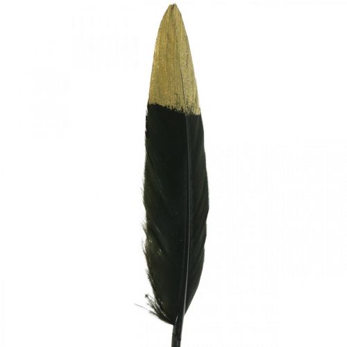 Product Decorative feathers black, gold real feathers for crafts 12-14cm 72pcs