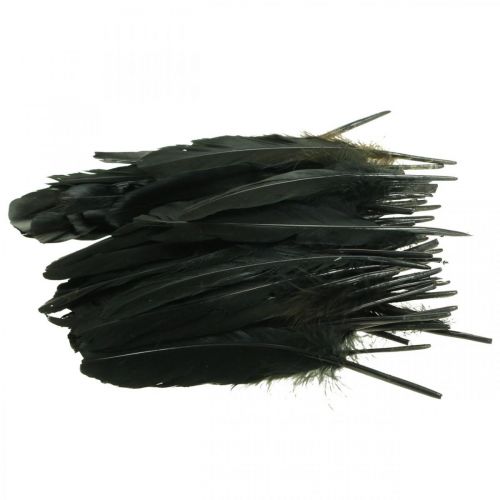 Product Deco feathers black bird feathers for crafting 14-17cm 20g