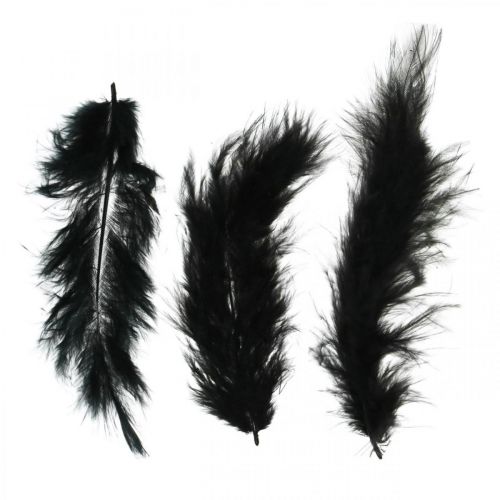 Feathers Black Real bird feathers for crafting Spring decoration 20g