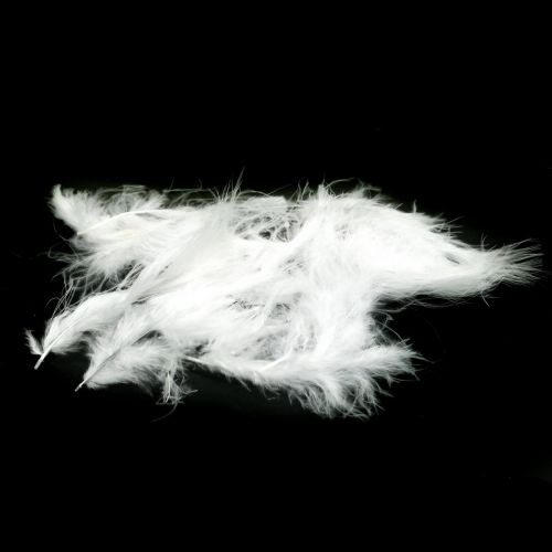 Product Feathers White Real bird feathers for decorating Easter decorations 20g