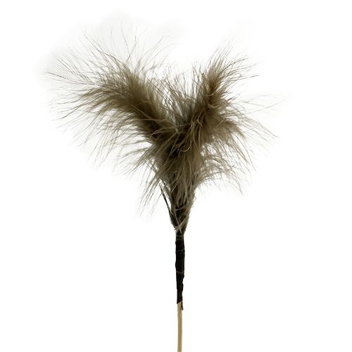 Floristik24 Feathers to stick 30cm brown 12pcs