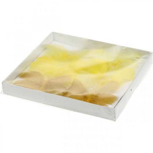 Floristik24 Deco butterflies on wire, spring decoration, spring butterflies in shades of yellow 6pcs