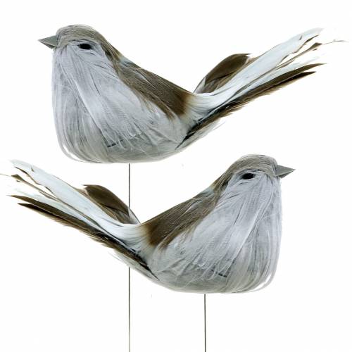Feather bird on wire gray 12cm 4pcs | Floristik24.ie