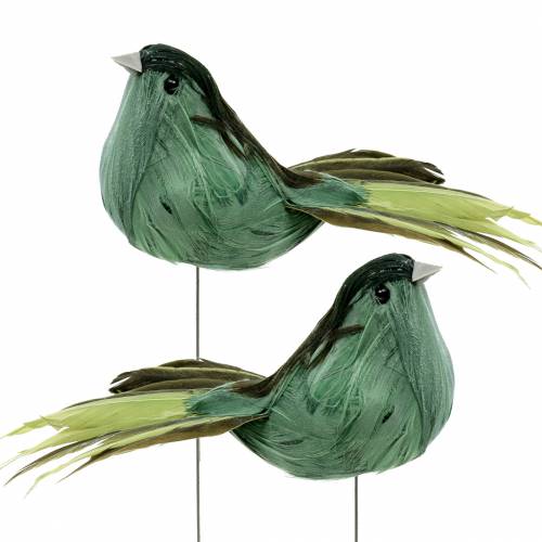 Floristik24 Feather bird on wire green 12cm 4pcs