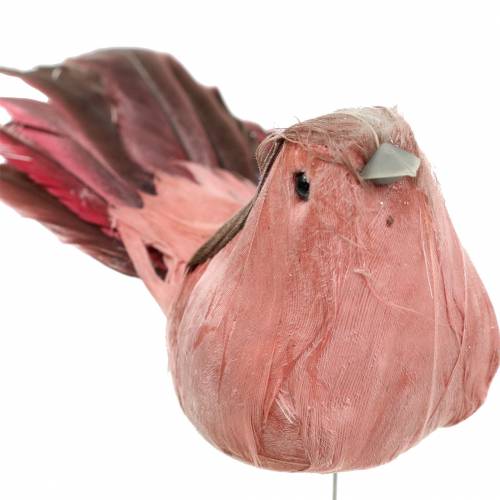 Floristik24 Feather bird on wire pink 12cm 4pcs