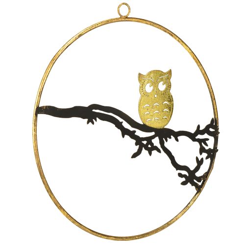 Floristik24 Window decoration owl on branch autumn, decorative ring metal 22cm