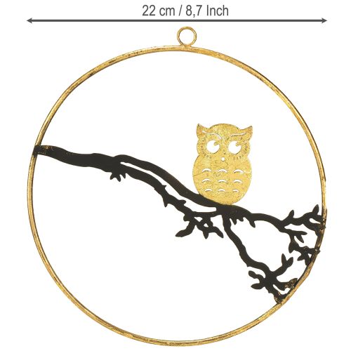 Product Window decoration owl on branch autumn, decorative ring metal 22cm