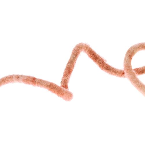 Floristik24 Felt cord wool cord with wire Rauris wire pink 20m