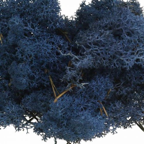 Product Deco moss blue dry moss for handicrafts colored 500g