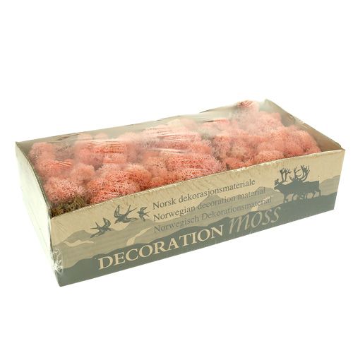 Floristik24 Decorative moss Icelandic moss pink 400g