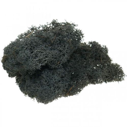 Product Decorative Moss Black preserves Iceland moss for crafts 400g
