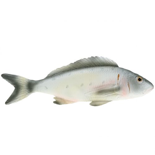 Floristik24 Decorative fish perch L27.5cm