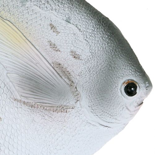 Product Deco fish L21cm