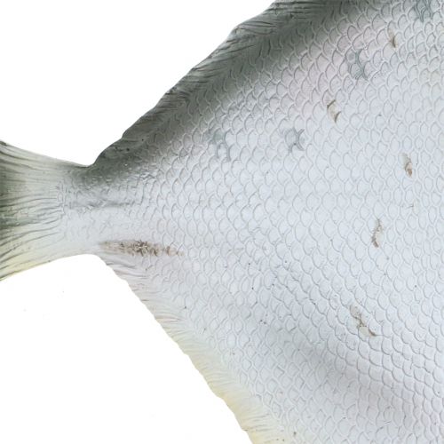 Floristik24 Deco fish L21cm