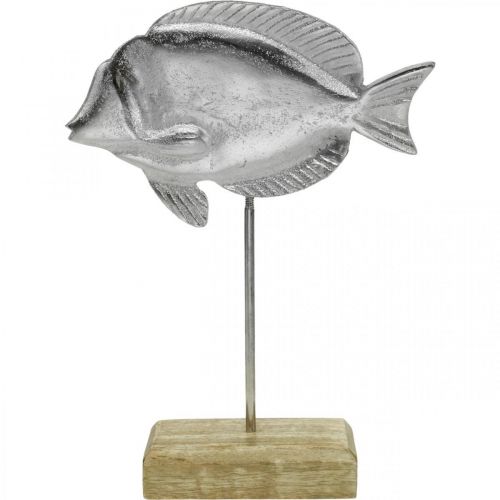 Floristik24 Fish to place, maritime decoration, decorative fish made of metal silver, natural colors H23cm