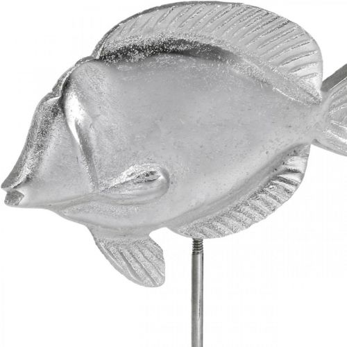 Floristik24 Fish to place, maritime decoration, decorative fish made of metal silver, natural colors H23cm