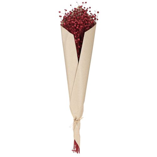 Flax Bordeaux Red Dried