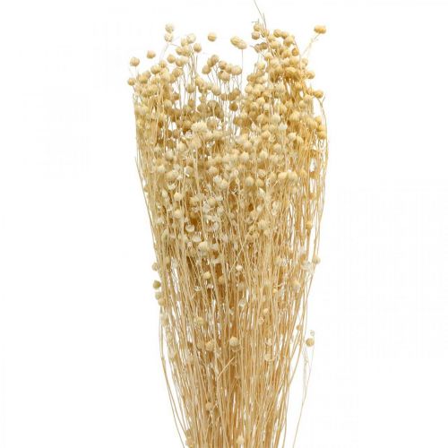 Product Bleached flax dried floristry dried grasses 52cm 160g