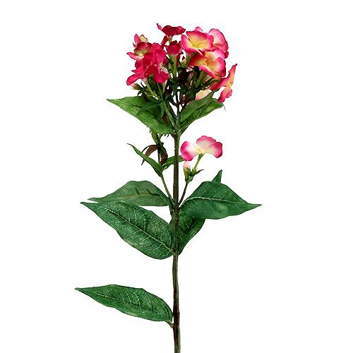 Floristik24 Flame flower pink 72cm