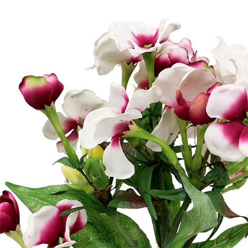 Floristik24 Flame flower white 72cm