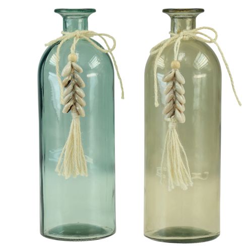 Floristik24 Bottles decorative glass vase cowrie shells maritime H26cm 2pcs