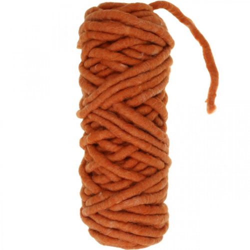 Felt cord, wool cord, felt cord, sheep's wool, jute, orange, L30m