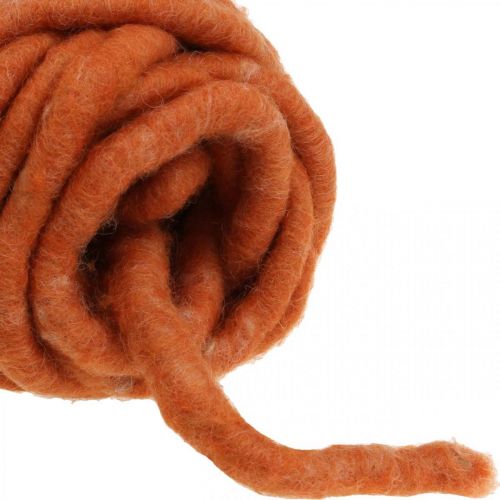 Floristik24 Felt cord, wool cord, felt cord, sheep's wool, jute, orange, L30m