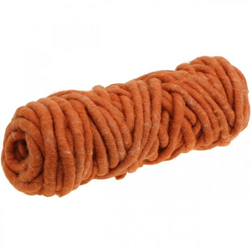 Floristik24 Felt cord, wool cord, felt cord, sheep's wool, jute, orange, L30m
