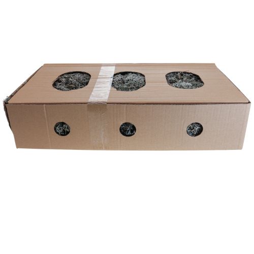 Product Lichen lichen moss tree moss decorative moss natural 1kg