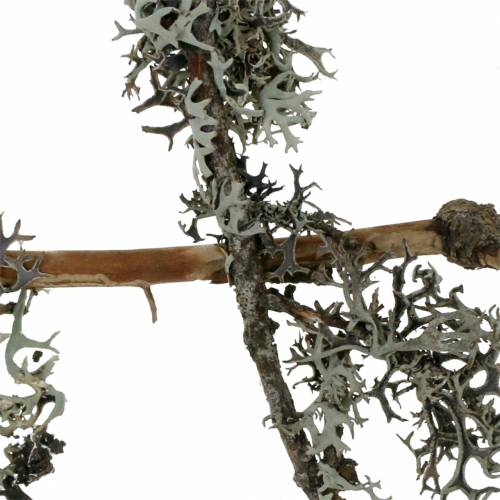 Product Lichen moss gray moss with branches 750g