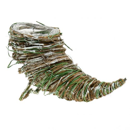 Willow plant cornucopia H20cm