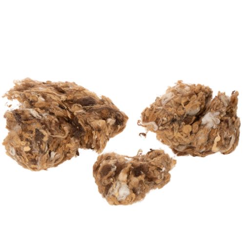 Brown melange sheep's