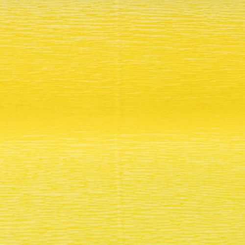 Product Florist Crepe Paper Yellow 50x250cm