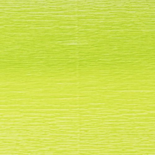 Product Florist crepe paper May green 50x250cm