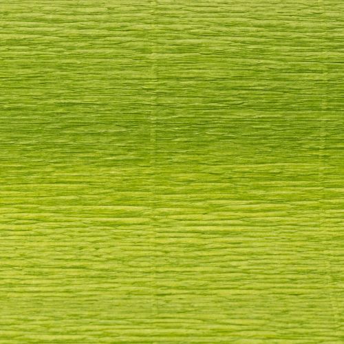Product Florist crepe paper grass green 50x250cm