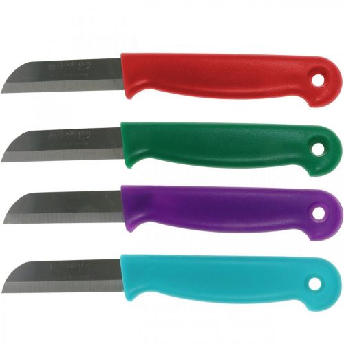 Floristik24 Florist knife 15cm 10 pcs – random color