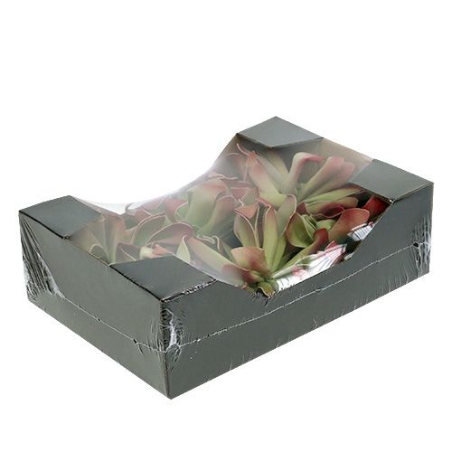 Floristik24 Foam flower Ø12cm green / red 6pcs