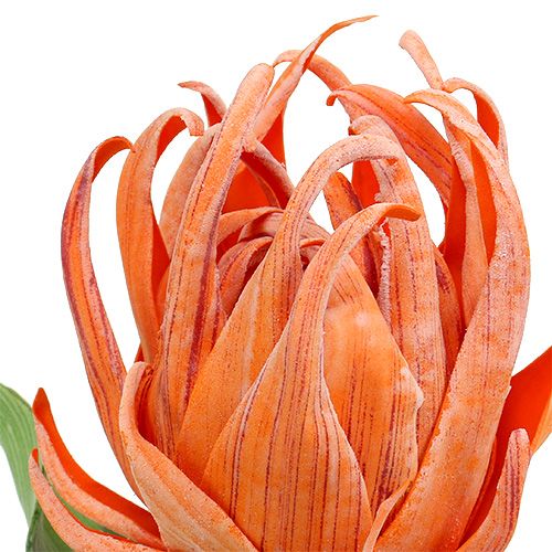 Floristik24 Foam blossom orange 12cm L30cm 1p