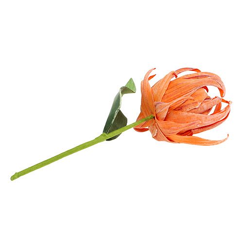 Floristik24 Foam blossom orange 12cm L30cm 1p