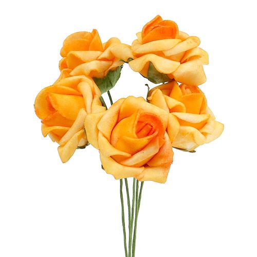 Floristik24 Foam Rose Ø4.5cm apricot 36 pcs