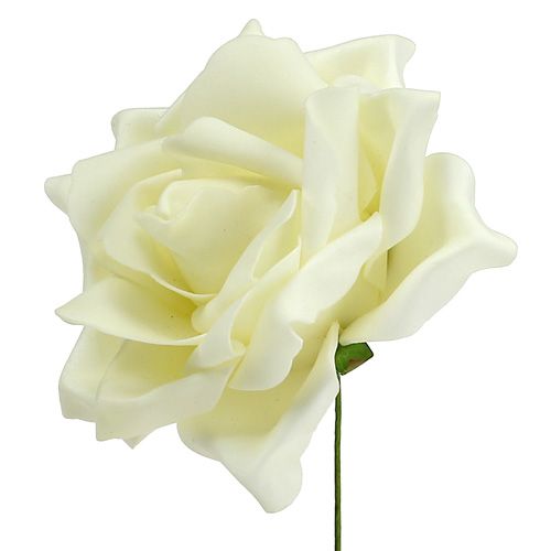 Floristik24 Foam Roses Cream Ø15cm 4 pcs