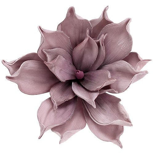 Floristik24 Foam blossom Magnolia Berry Ø15cm L67cm