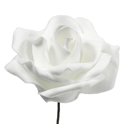 Floristik24 Foam roses white Ø5cm 12pcs