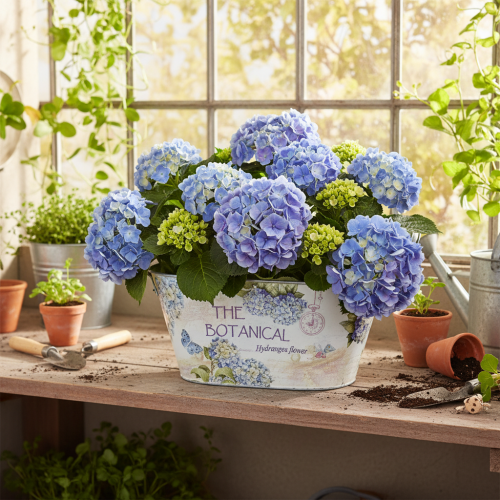 Product Oval metal flower bowl with handles, for hydrangeas, 32×15×15cm