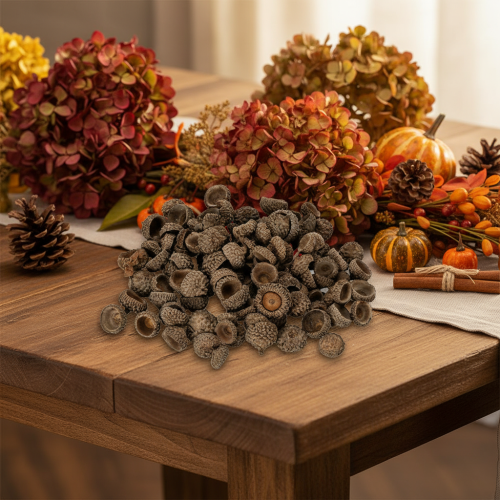 Natural acorn caps, decorative bowls for autumn and Advent, 2cm, 300g | Floristik24.ie
