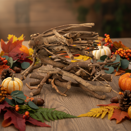 Decorative wooden branches and rootstocks, naturally dried, 18cm, 500g | Floristik24.ie
