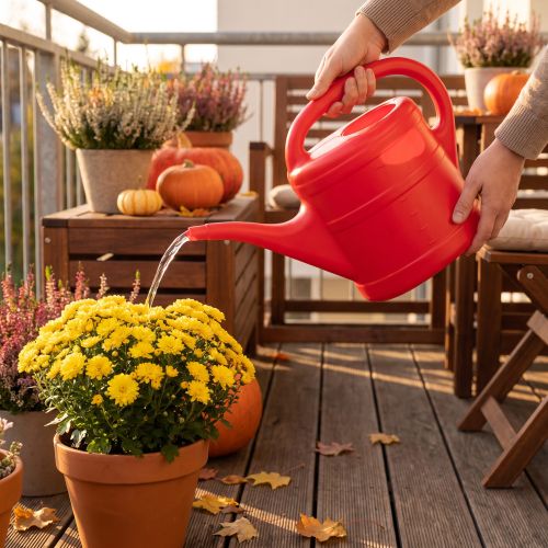 5l watering can | Floristik24.ie